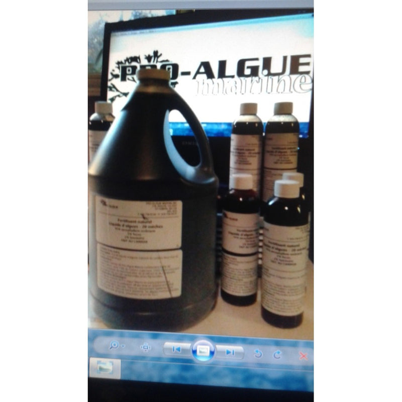 Algues liquides